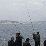 P1100154