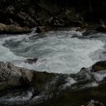 P1170608