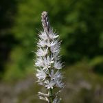 P1170633