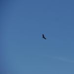 P1170634